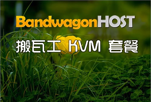 搬瓦工美国 KVM 套餐