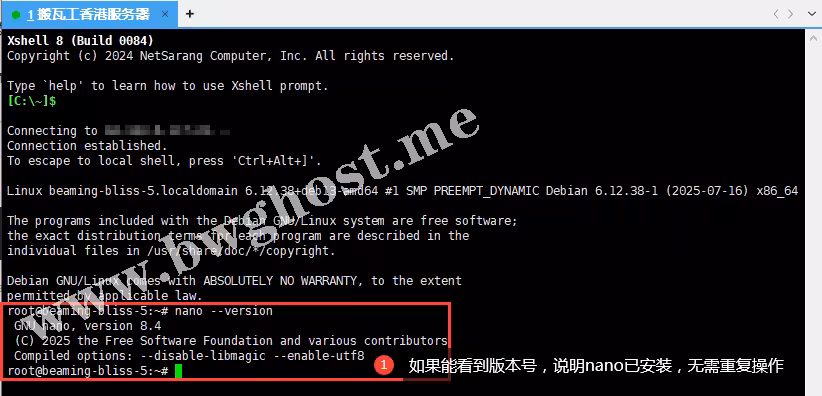 在终端中执行nano --version命令后，成功显示版本号的截图