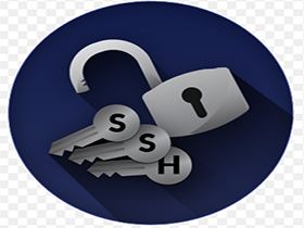 使用SSH客户端远程连接搬瓦工VPS