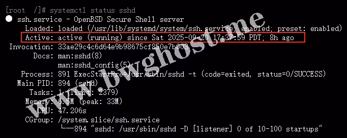 在KiwiVM的Root shell中，使用systemctl status sshd命令检查SSH服务状态的截图。