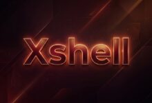 Xshell 和 Xftp 免费版下载教程:官方下载安装与邮箱验证-搬瓦工中文网