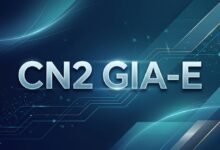 搬瓦工 DC6 CN2 GIA-E 适合哪些场景?建站、远程桌面与稳定访问分析-搬瓦工中文网