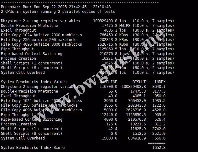 UnixBench多核性能测试结果截图