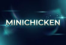 搬瓦工 MINICHICKEN 限量版套餐：19 美元/年弗里蒙特 HE 线路-搬瓦工中文网