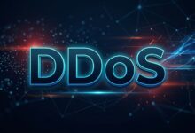 搬瓦工 VPS 被 DDOS 攻击，IP被 Nullroute 怎么办？-搬瓦工中文网