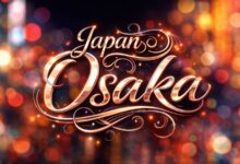 搬瓦工日本大阪软银限量版：$79.99/年 配置翻倍 - 搬瓦工中文网-搬瓦工中文网