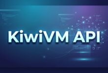 搬瓦工 KiwiVM API 教程：API KEY 获取、接口调用与自动化管理-搬瓦工中文网