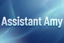 搬瓦工 Assistant Amy 怎么用?用中文管理 VPS、建站和排错-搬瓦工中文网